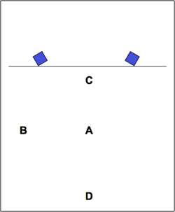 Figure 1